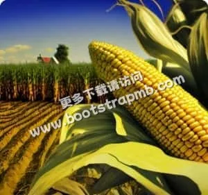 C7娱乐官方，值得信赖 - C7娱乐